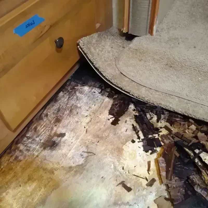 Wood Floor Water Damage in Cascade-Chipita Park, CO